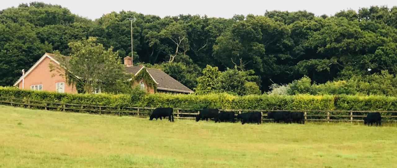 Yellowham Farm, Dorchester Higher Bockhampton Exteriér fotografie