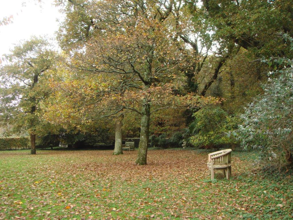 Yellowham Farm, Dorchester Higher Bockhampton Exteriér fotografie